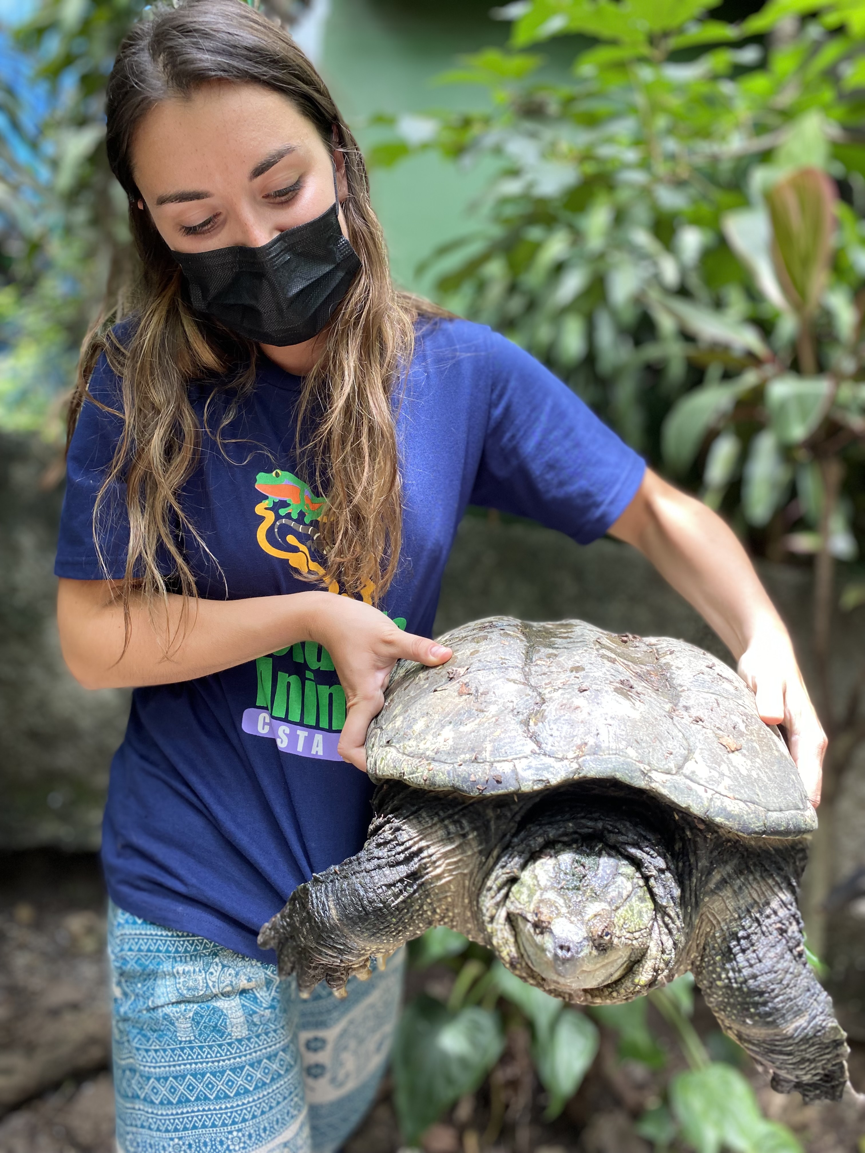 Caring for a turtle during the Costa Rica programme