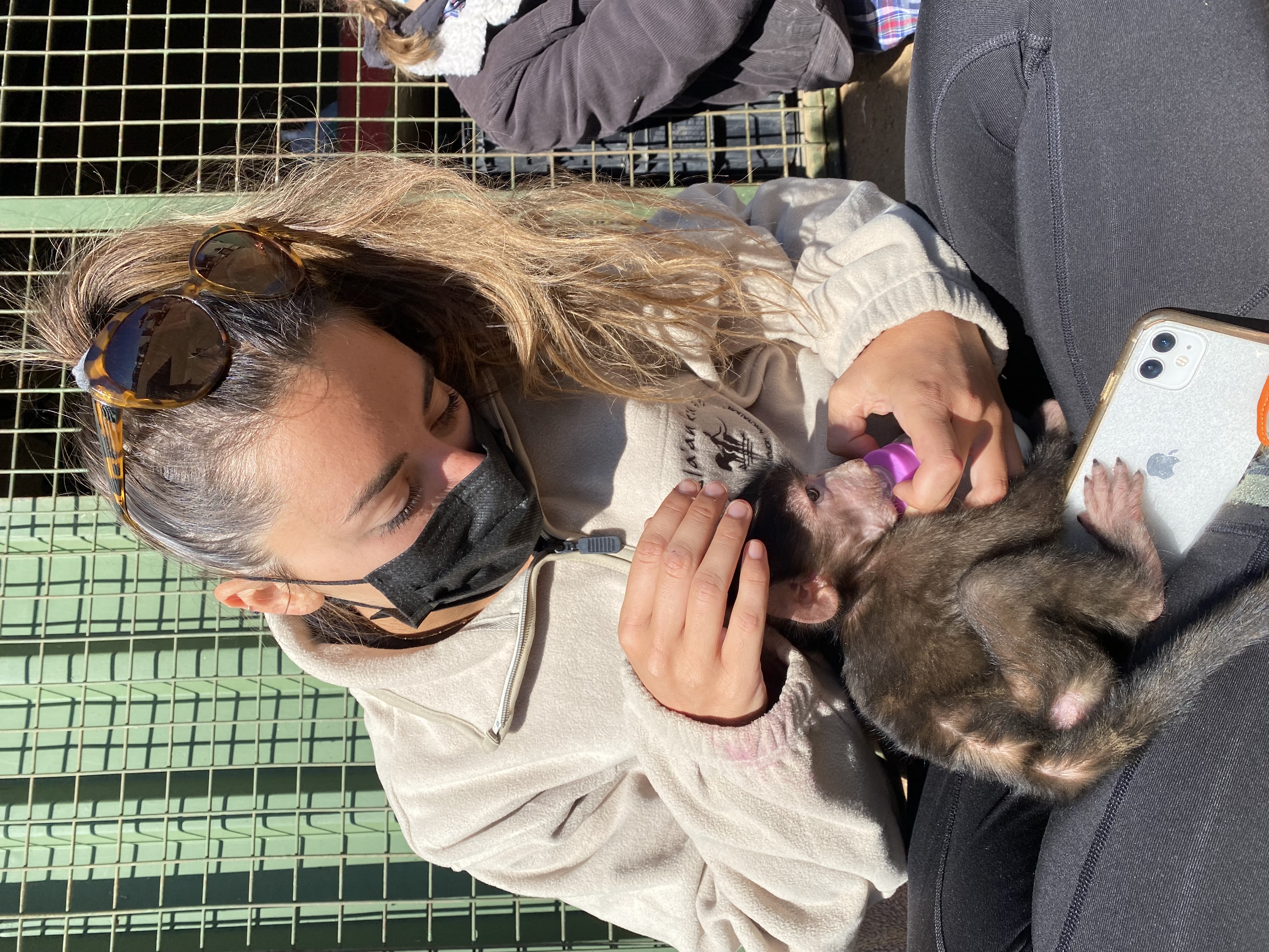 Lorédana Ludot feeding a young baboon during her programme in Namibia